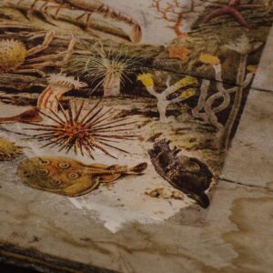 Lithografie auf Holz