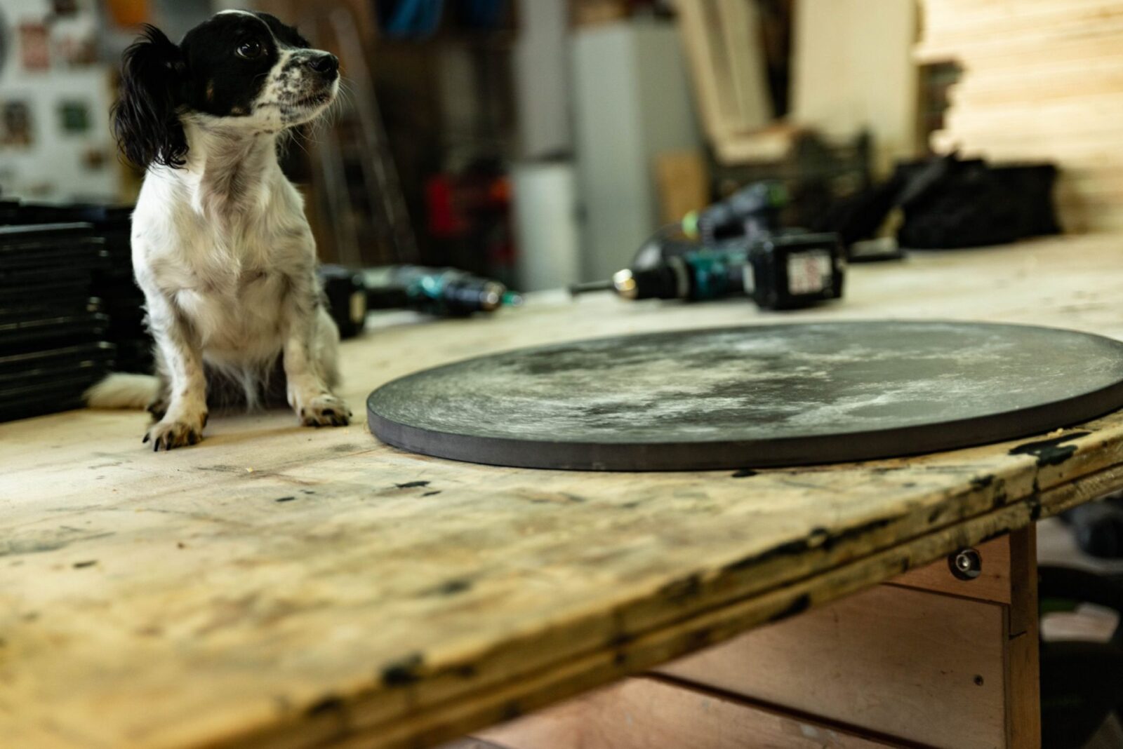 Monddruck mit Hund - schwarzes MDF gefräst