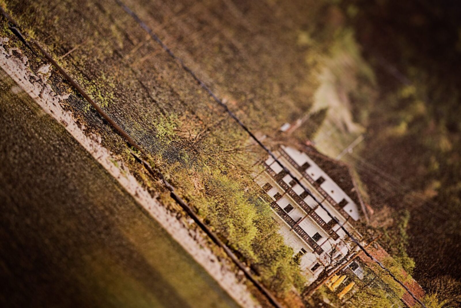 Detail Vintage - Holzdruck