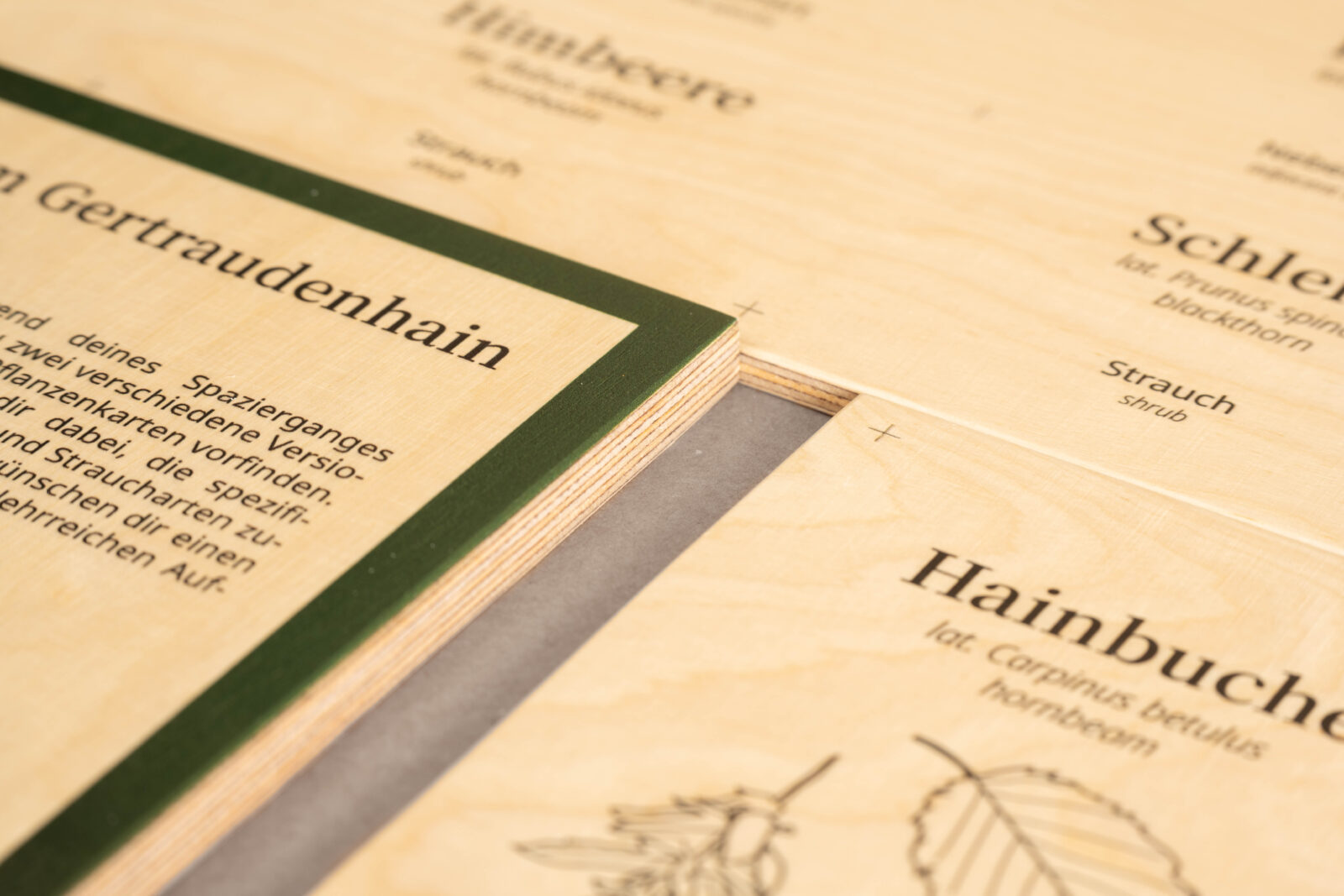 Bedruckte Multiplex-Schilder, Detailansicht der Schichtholzkante.