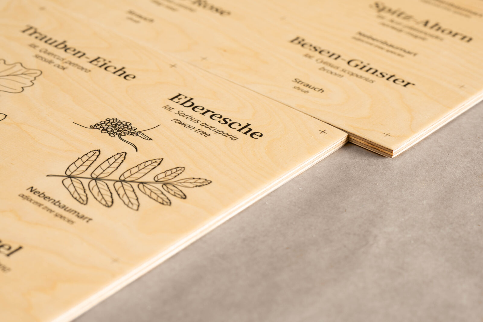 Multiplex-Schilder aus Holz mit Direktdruck, sichtbare Holzlagen an der Kante.