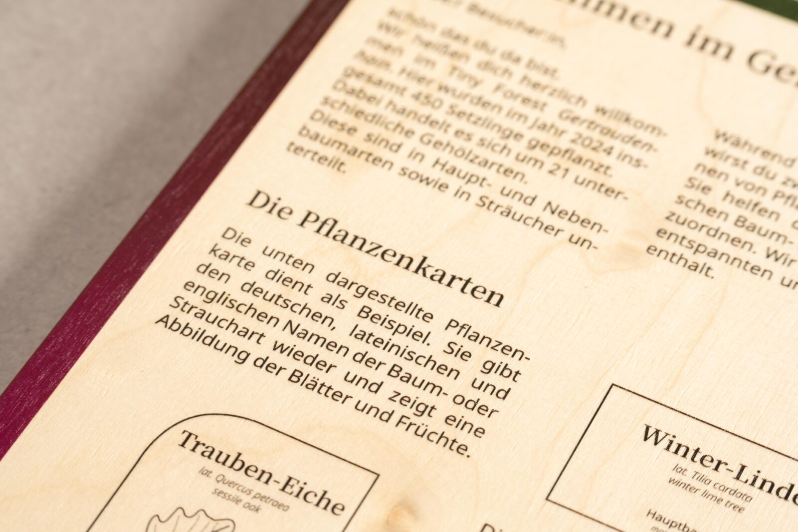 Nahaufnahme Direktdruck auf Multiplex-Birke. Der Kontrast von Text und farblichen Rand auf dem rohen Holz kommt zum Ausdruck.