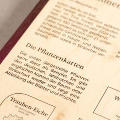 Nahaufnahme Direktdruck auf Multiplex-Birke. Der Kontrast von Text und farblichen Rand auf dem rohen Holz kommt zum Ausdruck.