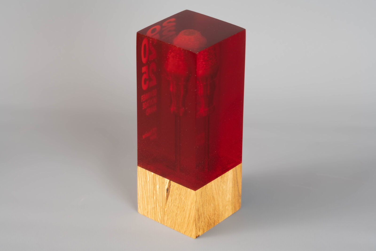 Ein Pokal von hinten. Man sieht in dem roten Kunstharz einen Schraubenzieher suspendiert.